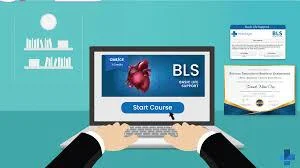 Compare Top Online BLS Course Options and Features